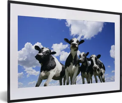 Produktbild von MuchoWow® MuchoWow® Gerahmtes Poster Kuh - Luft - Tiere 60x40 cm - Poster mit zchwarzem Bilderrahmen - Schlafzimmer - Plakat in Rahmen - Drucken