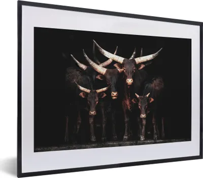 Produktbild von MuchoWow® MuchoWow® Gerahmtes Poster Kuh - Watussi - Schwarz - Hörner 40x30 cm - Poster mit zchwarzem Bilderrahmen - Bilderrahmen - Poster im Rahmen