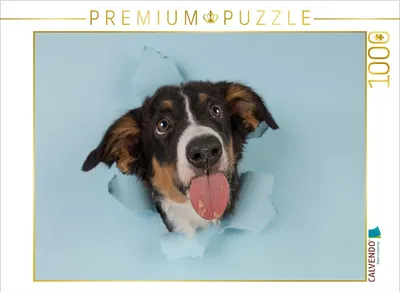 Produktbild von CALVENDO Puzzle Tadaaaa. | 1000 Teile Lege-Größe 64x48cm Foto-Puzzle für glückliche Stunden