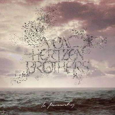 Image de Dans Murmuration