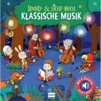 Produktbild von Sound-& Licht-Buch