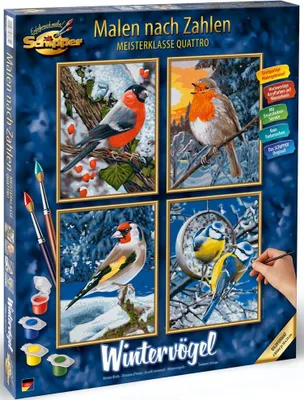 Image de Noris Spiele Malen nach Zahlen - Wintervögel (Quattro) ; 609340661