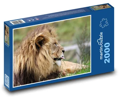 Obrázok produktu pre martinpuzzle - Puzzle 2000 - Král savany (alebo: Lev, král savany)