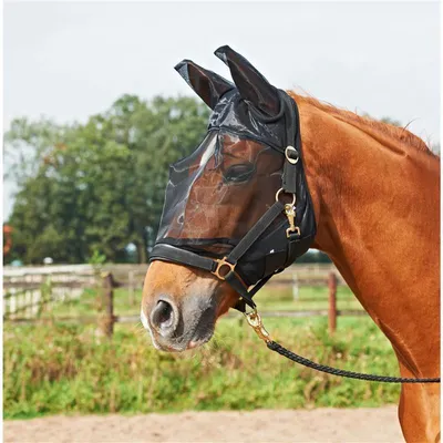 Produktbild von Busse FLY GUARD PLUS - schwarz - Fliegenmaske