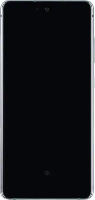 Produktbild von Samsung Galaxy S20 FE 4G (G780) Display (mit Rahmen) mint (Cloud Mint)