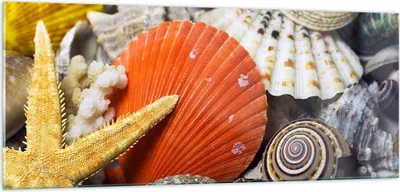 Produktbild von Bilder auf glas - Seashell Meer Strand Sand - 100x40cm - Glasbilder - Wandbilder - Kunstdruck - zum Aufhängen bereit - Wanddekoration aus Glas - Glas Bilder - Wandbild auf Glas - GAB100x40-0456