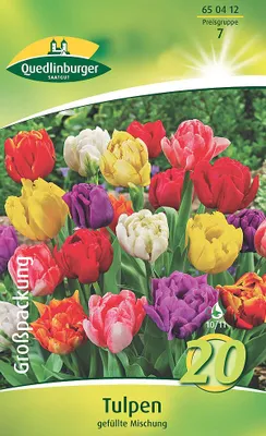 Artikelbild 2 von 'Tulpen Gefüllte Mischung (20 Stück)' aus der Kategorie Tulpenzwiebeln