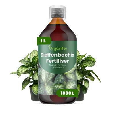 Produktbild von Dieffenbachia Flüssigdünger 1L – 3-4-3 NPK – Flüssigdünger Zimmerpflanzen – Für Blätter & Üppige Blattfärbung – Organifer