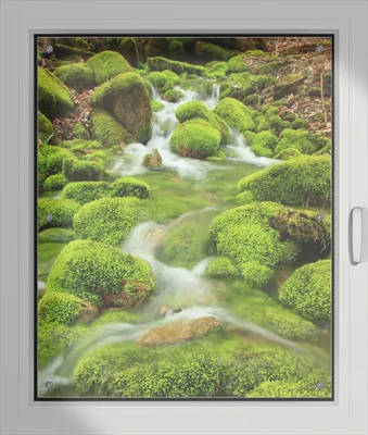 Produktbild von Wallario Lichtschutzbild, Dekorativer Sichtschutz Sonnenschutz 76 x 93 cm mit Motiv: Moosiger Bach - Verdunklung ohne Bohren
