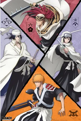 Immagine prodotto di Bleach - Gruppo degli Shinigami - Poster, 61x91,5 cm