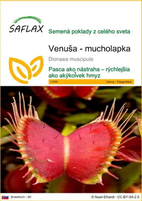 Obrázok produktu pre SAFLAX - Venuša - mucholapka - Dionaea muscipula - 10 Semená