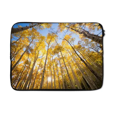 Produktbild von MuchoWow® Laptop Hülle 14 ZollHerbst - Bäume - Wald Laptoptasche - Laptoptasche - Stoßsicher - Schutzhaube