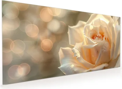 Produktbild von Küchenrückwand Spritzschutz Glas mit Motiv Elegante Rose 40 x 40 cm