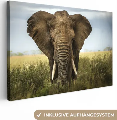Produktbild von OneMillionCanvasses® - Leinwandbilder - 140x90 cm, Elefant - Tiere - Gras, Wandbilder Kunstdruck Wanddekoration
