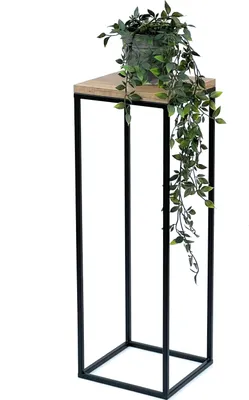 A plant on a black metal plant stand with a wooden top.