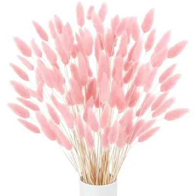 120 getrocknete Hasenschwanzblumen, rosa Pampasgras, 45 cm, Dekoration