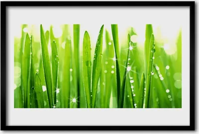 Produktbild von Bild 60x40 MDF-Rahmen Wandkunst Gras Natur Pflanze