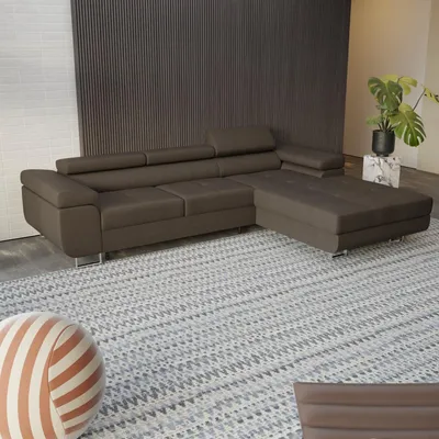 A sectional sofa is shown in a room with a patterned rug and a plant.
