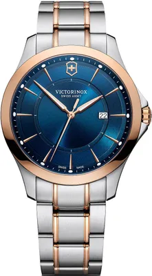 Obrázek produktu pro Pánské hodinky Victorinox 241911, stříbrné