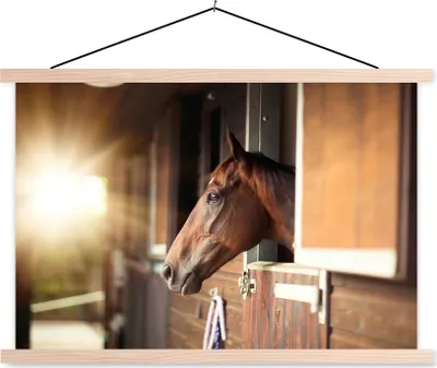 Produktbild von MuchoWow® Textilposter Pferd - Stall - Sonne 60x40 cm mit holzfarbenen Rahmen - Bilder