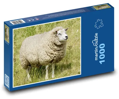 Obrázek produktu pro martinpuzzle - Puzzle 1000 - Ovce na louce - zvíře, příroda