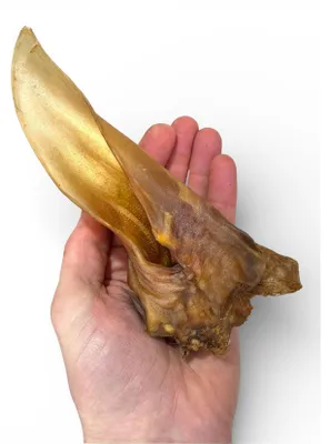 Produktbild von Pferdeohren ohne Fell 1kg Hundesnack Kausnack Hundeleckerlie getreidefrei für Hunde natürlich ohne Zusätze