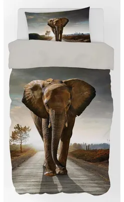 Produktbild von Javoli Animal Pictures Bettbezug Olifant 140 x 200 cm - 70 x 90 cm - Baumwolle