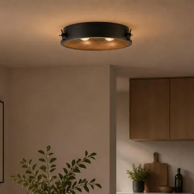 Produktbild von Deckenlampe, Ø 42 cm, E27, Metall, schwarz korund