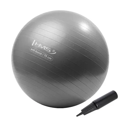 Immagine prodotto di HMS YB02 Palla da ginnastica grigia 75 cm