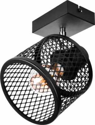 Imagen del producto de BASKET 1: Lámpara de techo y pared, estilo industrial, metal, 1xE27