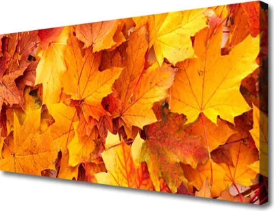 Produktbild von Tulup Leinwand-Bilder 100x50 Wandbild Canvas Kunstdruck Blätter Pflanzen