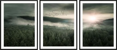 Produktbild von BILDPOSTER IM RAHMEN 33x43cm Triptychon 3er-Set Waldlandschaft P2036