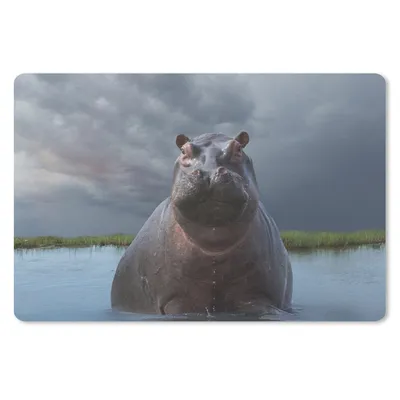 Produktbild von MuchoWow® Schreibtischunterlage Nilpferd - Wasser - Wolken 60x40 cm - XXL Mauspad - Großes Mauspad