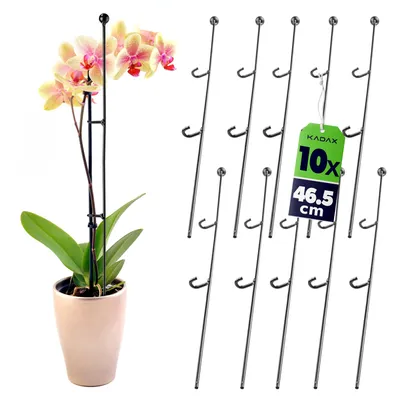 Zdjęcie produktu dla KADAX Podpórka Do Roślin Storczyków Kwiatów 10szt 50cm
