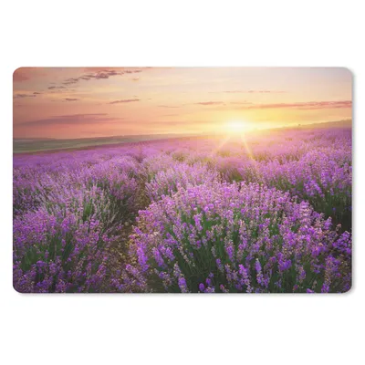 Produktbild von MuchoWow® Schreibtischunterlage Lavendel - Sonne - Blumen 60x40 cm - XXL Mauspad - Großes Mauspad
