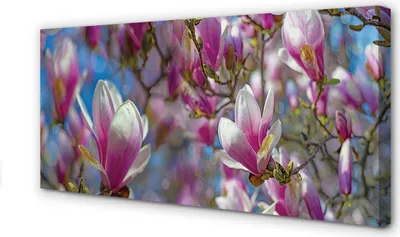 Produktbild von Leinwandbild 120x60 Wandkunst Magnolienbaum