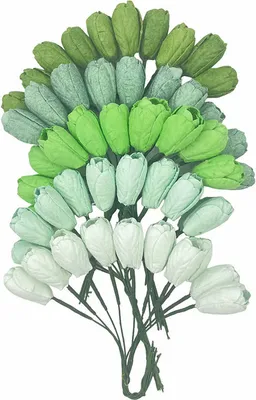 Immagine prodotto di TULPEN 10mm 50pz. fiori di carta di gelso per scrapbooking, miscela verde