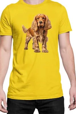 Zdjęcie produktu dla Męska Koszulka Dogs Breeds Cocker Spaniel Dog Breed 005, Man S / Żółty