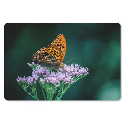 Produktbild von MuchoWow® Schreibtischunterlage Blumen - Schmetterling - Porträt 60x40 cm - XXL Mauspad - Großes Mauspad