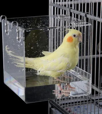 Produktbild von Hängende Vogelbadewanne Transparent, Vogeltränke für Garten Balkon und Wildvögel