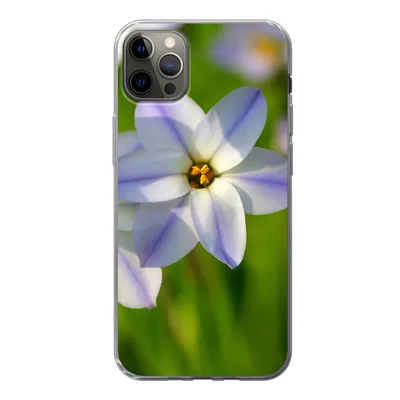 Produktbild von MuchoWow® Handyhülle Schutzhülle Hülle für iPhone 13 Pro Max Blumen - Garten - Lila Silikon Softcase Handy Hülle - Mobiltelefon