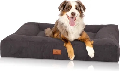 Produktbild von Knuffelwuff orthopädisches Hundebett aus Velours mit Handwebcharakter Sofia 80x60cm Schwarz