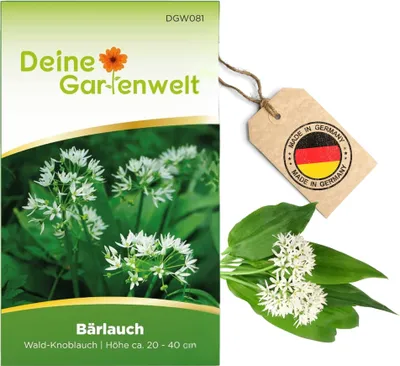 Produktbild von Bärlauch Waldknoblauch Samen - Allium ursinum - Bärlauchsamen - Kräutersamen - Saatgut für 20 Pflanzen