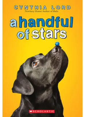 Produktbild von A Handful of Stars