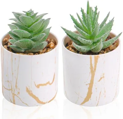 Imagen del producto de Decoración de plantas en miniatura de plástico para escritorio de oficina