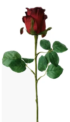 Produktbild von Kunstblume ROSE 51 cm, 1 Stück. ROT