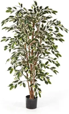 Image de Arbre artificiel Ficus - 200 cm - Troncs en bois véritable - Décoration d'intérieur - Vert et blanc