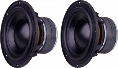 Produktbild von Reckhorn D-165 Subwoofer Einbaulautsprecher 175 mm, 6.5 / 2 Stück