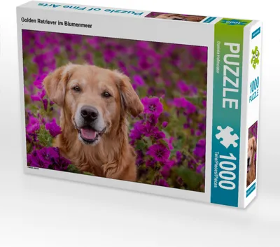 Produktbild von CALVENDO Puzzle Golden Retriever im Blumenmeer | 1000 Teile Lege-Größe 64x48cm Foto-Puzzle für glückliche Stunden