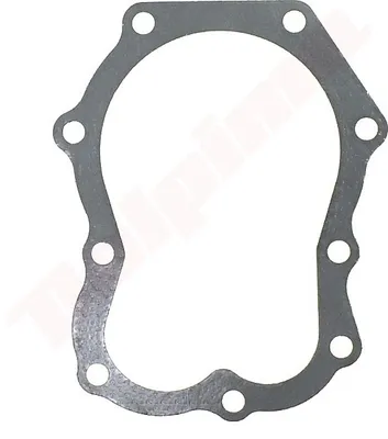 Image de Joint de tête Pour Briggs & Stratton ( 270984 , 271867S )